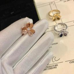 17V*a*n C*l*e* & A*r*p*e*l*