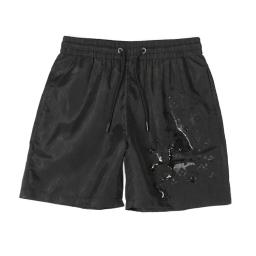 Louis Vuitton Shorts Waterproof