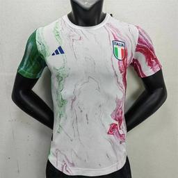 010934195意大利训练服