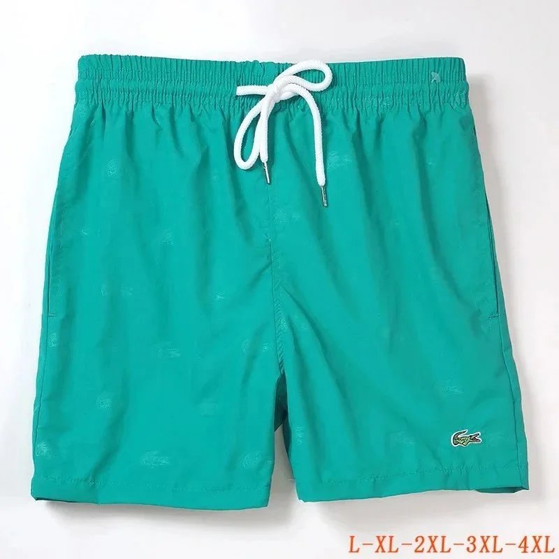 air Lacoste Shorts (40 styles) - Thumbnail 14