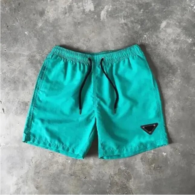Prada Shorts Pants ( 11 + styles) - Thumbnail 12