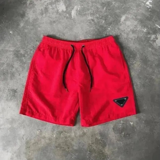 Prada Shorts Pants ( 11 + styles) - Thumbnail 8