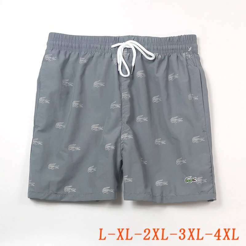 Lacoste Summer Shorts Pants ( 40 + styles) - Thumbnail 8