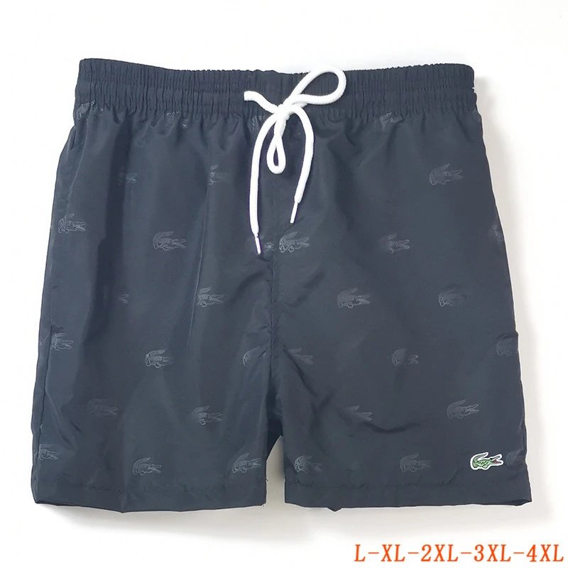 Lacoste Summer Shorts Pants ( 40 + styles) - Thumbnail 9