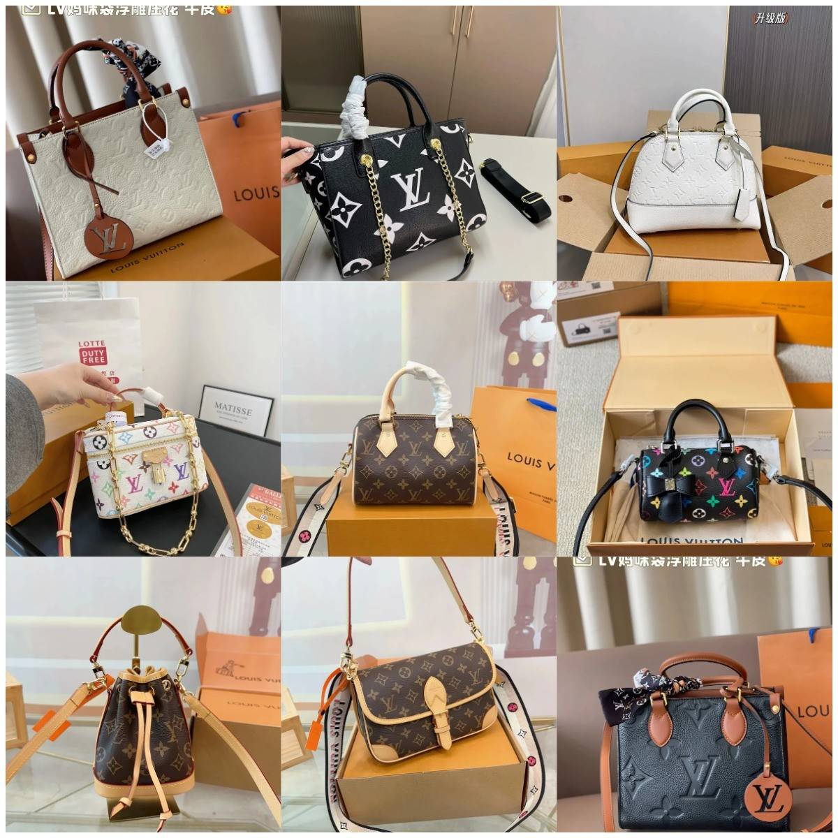 Louis Vuitton women's bag