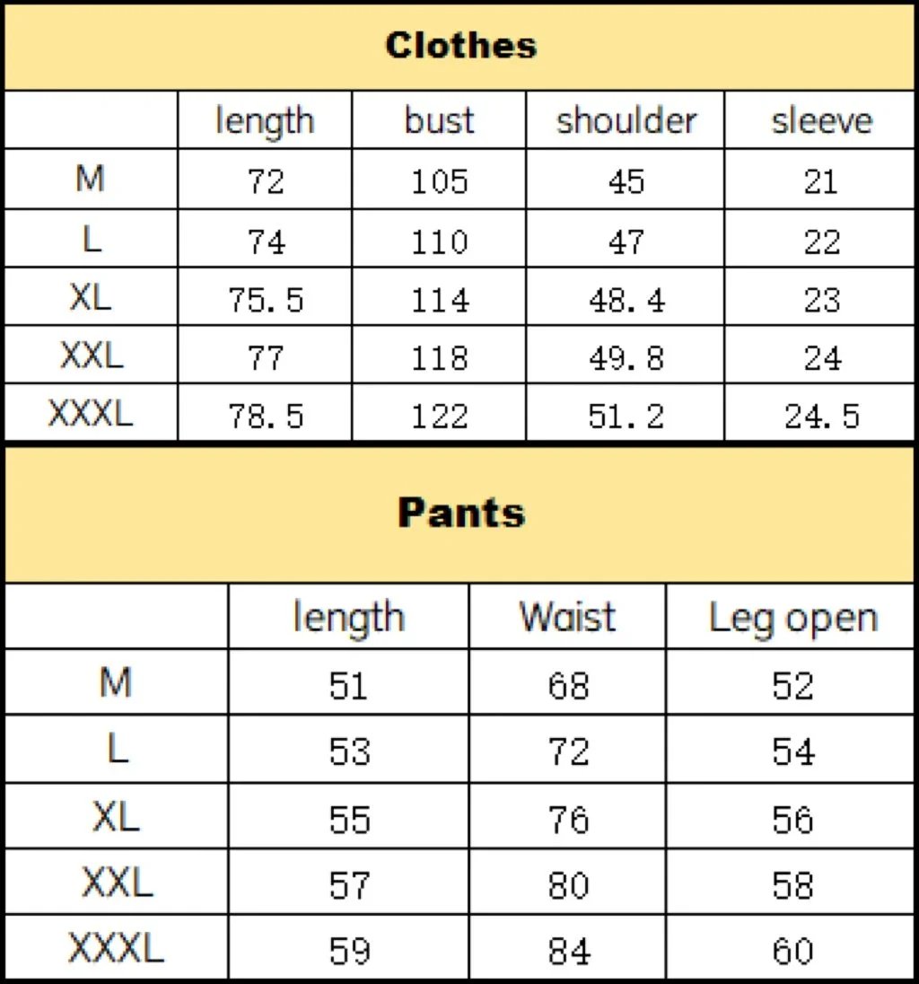 Dior T-shirt TEE & shorts pants Set - Thumbnail 2