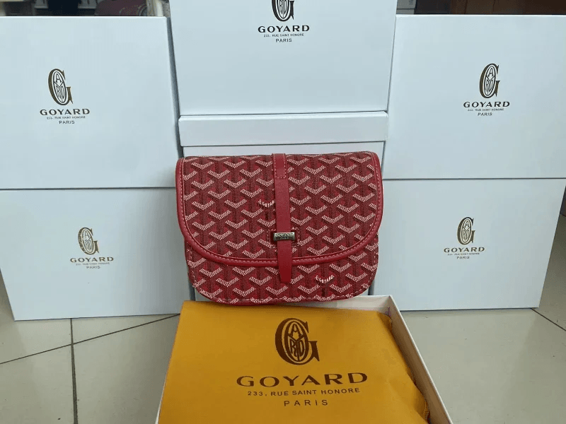 Goyard Bag( 35 style TOP) - Thumbnail 13