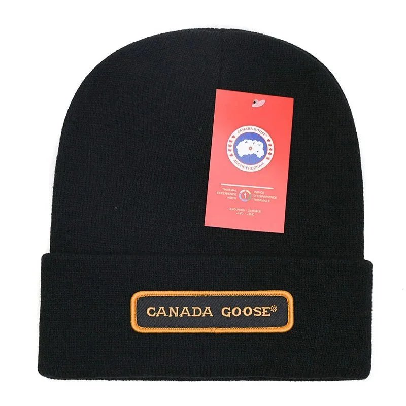 Canada Goose Arctic Program Beanie [40+ Styles] - Thumbnail 6