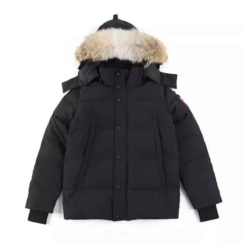 Burberry Down Jacket - Thumbnail 10